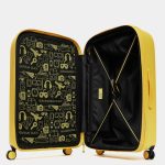 mandarina duck trolley