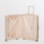 trolley bagaglio a mano carpisa