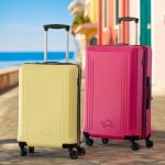 trolley in offerta