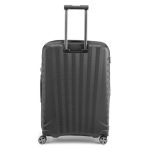 trolley medio offerte