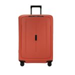 trolley rigido