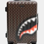 valigia sprayground