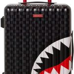 valigia sprayground